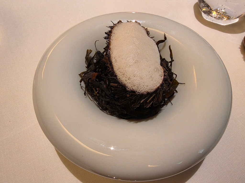 A gourmet dish featuring a circular piece of seafood placed on a bed of seaweed, topped with a frothy sauce, served on a white plate.
