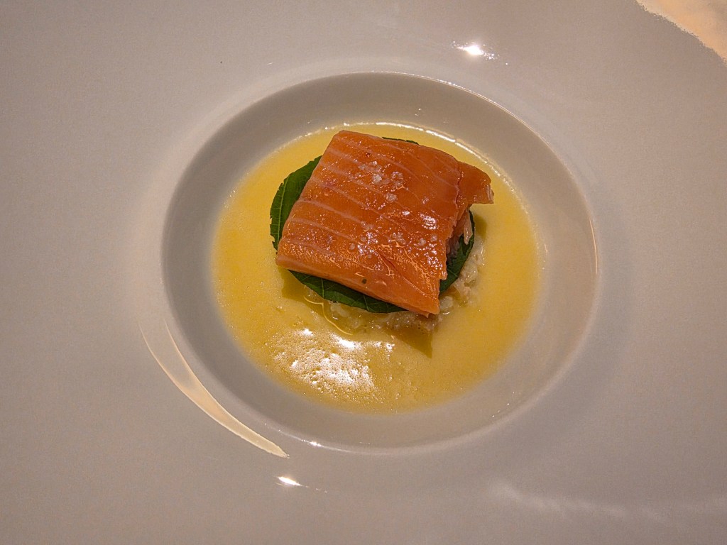 A plate featuring a delicate serving of salmon on a bed of greens, surrounded by a light sauce.