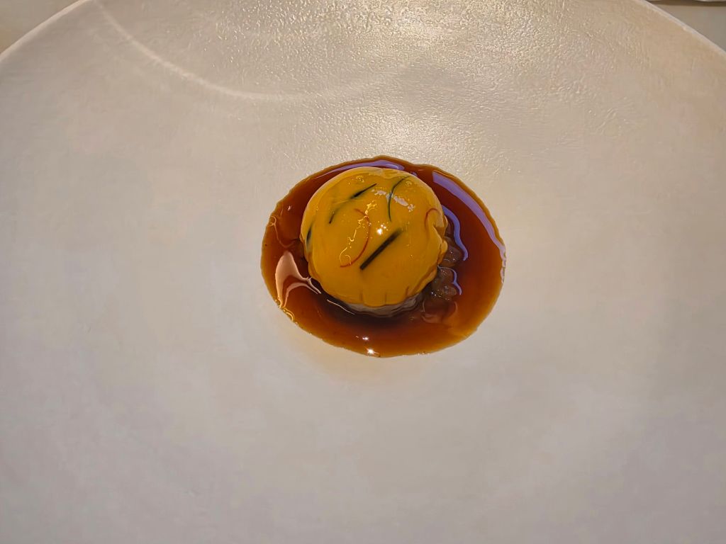 A small round delicacy, resembling a ball, placed in the center of a white plate, surrounded by a dark sauce.