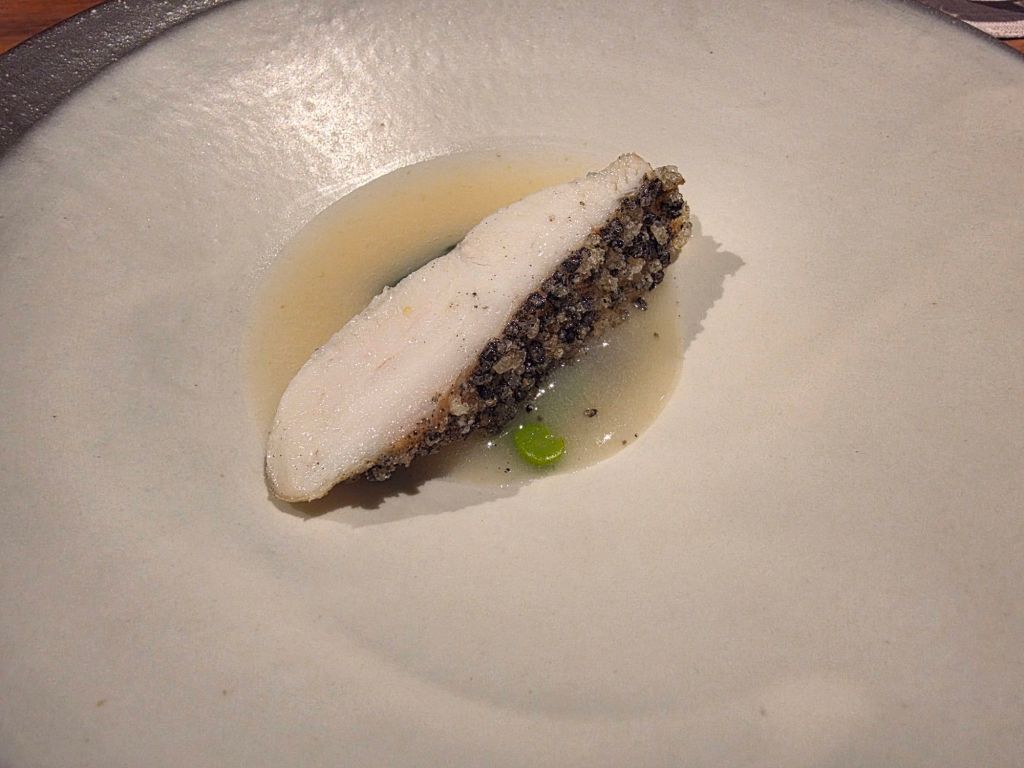 A single piece of cooked fish, lightly crusted and served on a plate with a pale liquid sauce and a small green garnish.