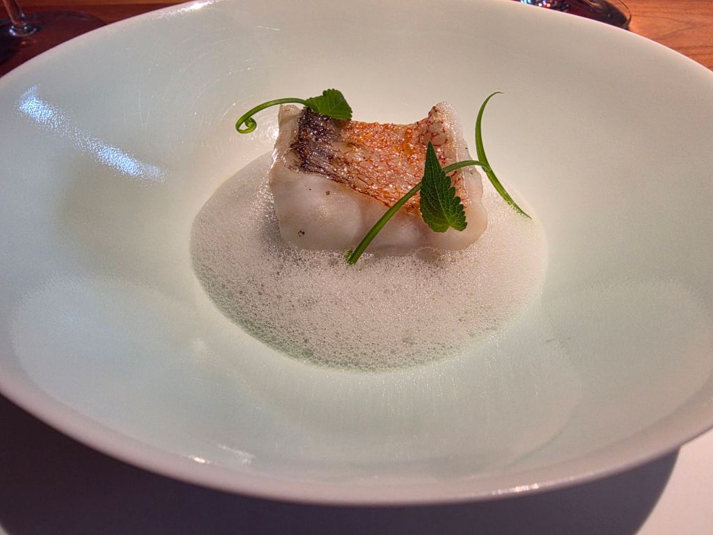 A gourmet dish featuring a piece of fish with crispy skin atop a creamy foam, garnished with fresh herbs on a white plate.
